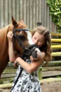 Matinée poney