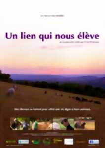 Soirée film 