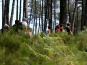Course d'orientation Nationale Sud-Ouest