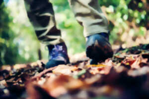 Sortie nature