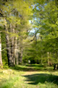 Les arbres du parc des Grandes Brosses