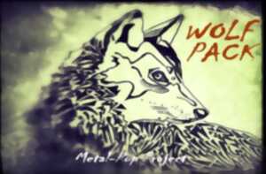 Concert de Wolf Pack