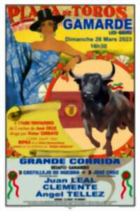 Corrida