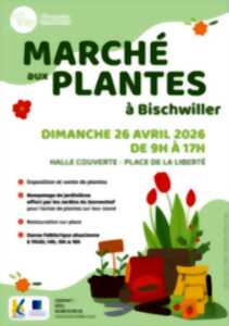 photo Marché aux plantes