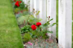 L'œuvre du café : Le printemps des cimetières