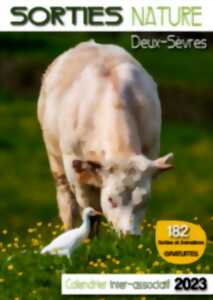 photo Sortie nature - Canoë et oiseaux, vallée de l'Argenton