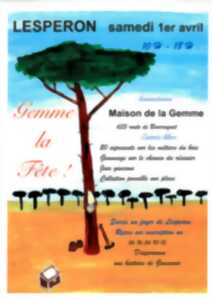 Gemme, la fête