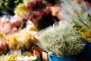 FOIRE DES COULEURS
