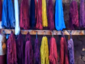 photo Conférence SHAAPT : Louise de Chatillon, duchesse de Thouars