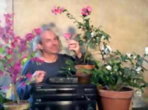 photo Rendez-vous au jardin : musique des plantes