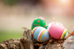 Chasse aux oeufs