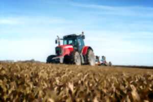 photo Comice Agricole à Chandos