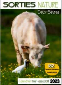 Sortie nature : Atelier Taille et Greffage sur fruitiers
