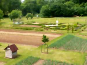 Atelier taille en vert d'arbres fruitiers
