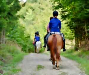 Journée plante et chevaux