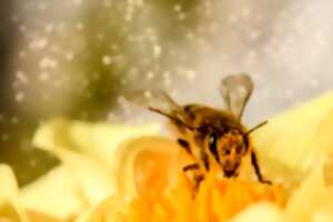 J'ai rendez-vous avec la science : les pollinisateurs