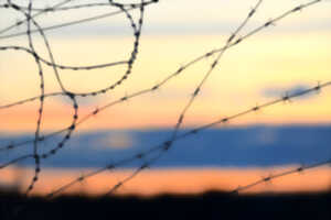 photo Projection du film In Memoriam