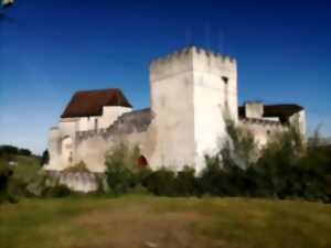 Château en Fête - Château de Grignols