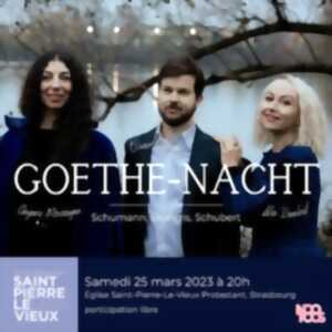 Concert Goethe-Nacht