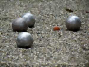 photo Tournoi de pétanque pour tous