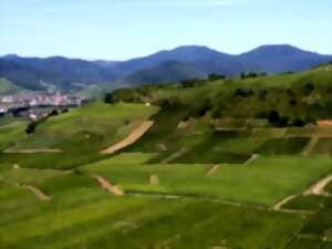 ALSACE ROCKS ! La Tournée des Terroirs - Etape #3 Kientzheim