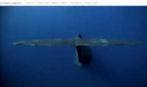Au fil de l'eau - Exposition 