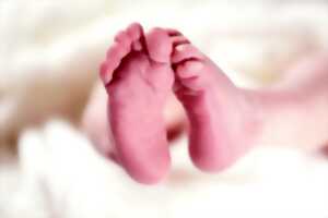 Forum autour de la naissance