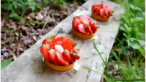 Cours de pâtisserie : Autour du chocolat : pâte à tartiner, ourson guimauve, spritz et mini tablettes