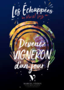 Les Echappées by Marcel Vezien : devenez vigneron d'un jour