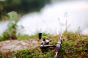 Concours de pêche