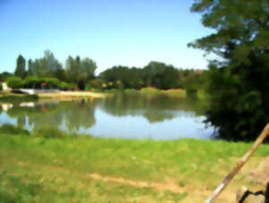 photo Flore du marais de Laromet