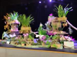 photo Exposition internationale d’orchidées