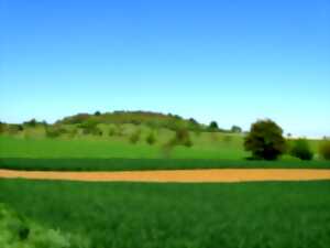 Balade nature sur les sentiers du Bastberg