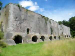 photo Les trésors de la carrière de Cavigny
