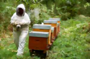 photo Découverte de l'apiculture