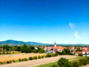 photo Course nature et marche