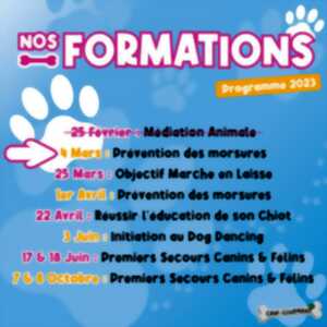 Atelier Prévention des Morsures
