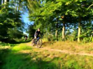 Sortie VTT (semaine paire)