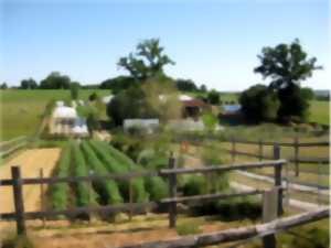 RENDEZ-VOUS AUX JARDINS