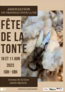 Fête de la tonte