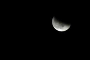 photo Observation de l'éclipse solaire