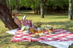 photo Fantastic Picnic  