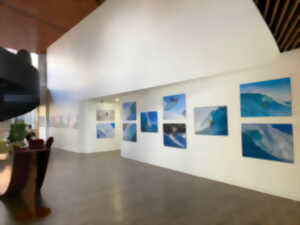 Exposition Surfeuses