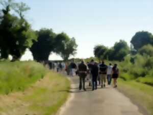 Marche semi-nocturne