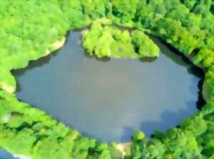 Pêche au lac des Picades à Brameloup