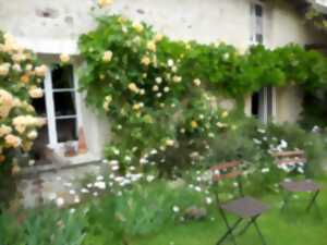 Balade du curieux : les trésors du jardin