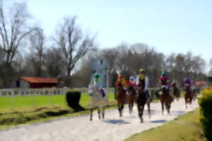 Course hippique - plat | Hippodrome des Grands Pins