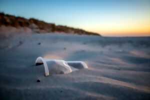 Initiatives Océanes - Nettoyage de Plage