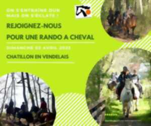 Randonnée équestre avec l'Association à Cheval en Ille-et-Vilaine