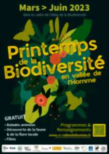 Printemps de la biodiversité en vallée de l'Homme - A la découverte de la flore printanière des bois et falaises